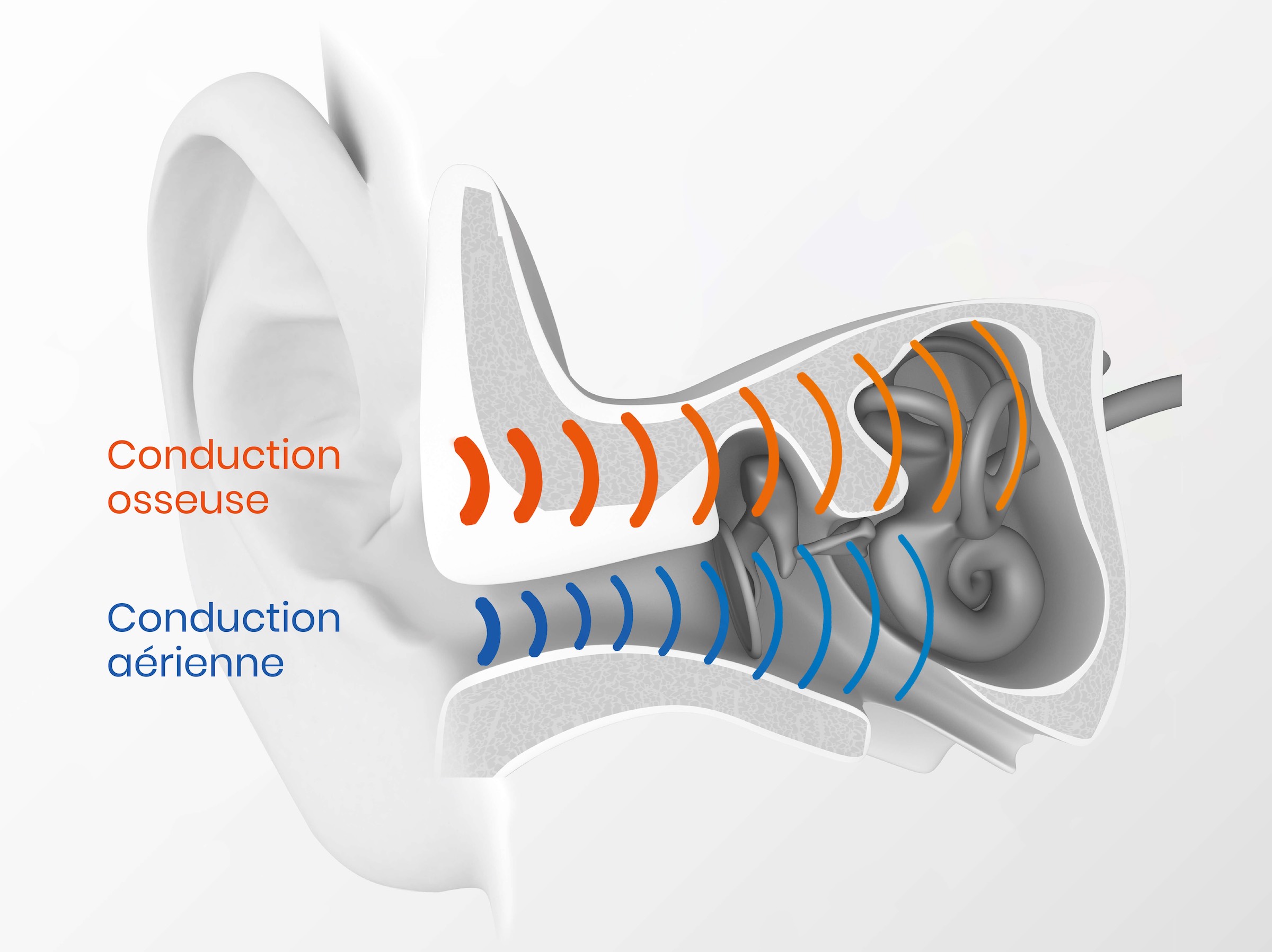 Suunto Wing : écouteurs à conduction osseuse